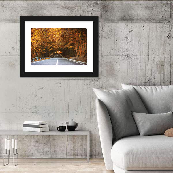 Forest Road in Autumn Canvas Wall Art