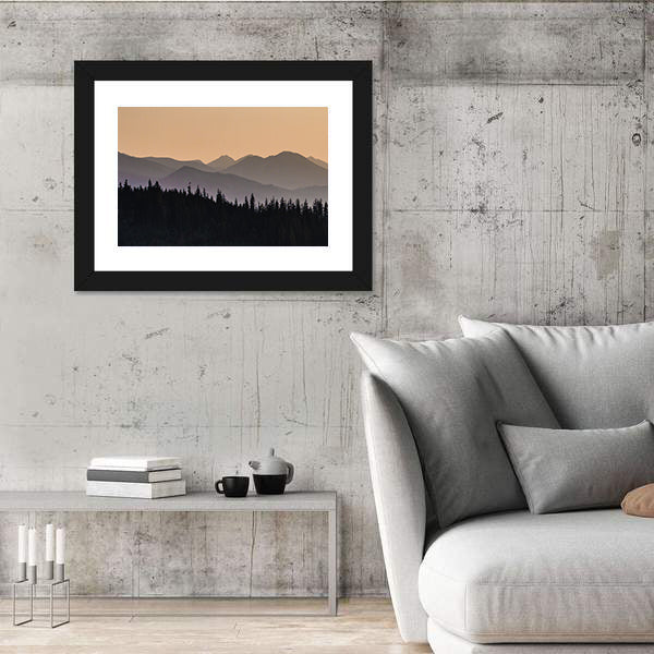 Early Morning Mist On Forest Mountain Canvas Wall Art