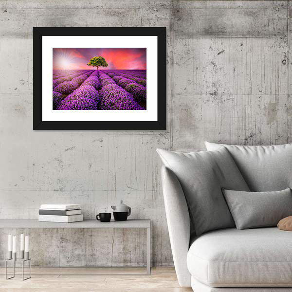 Lavender Field At Sunset Canvas Wall Art