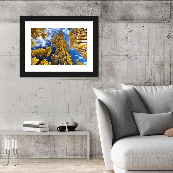 Golden Autumn Aspen Canopy Canvas Wall Art