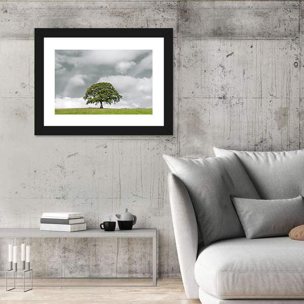 Summer Oak on Grassy Hill Canvas Wall Art