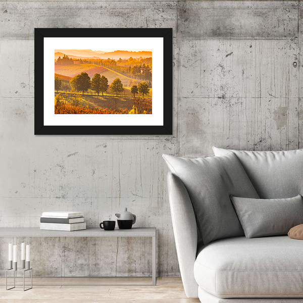 Italian Vineyards and Rolling Hills Canvas Wall Art