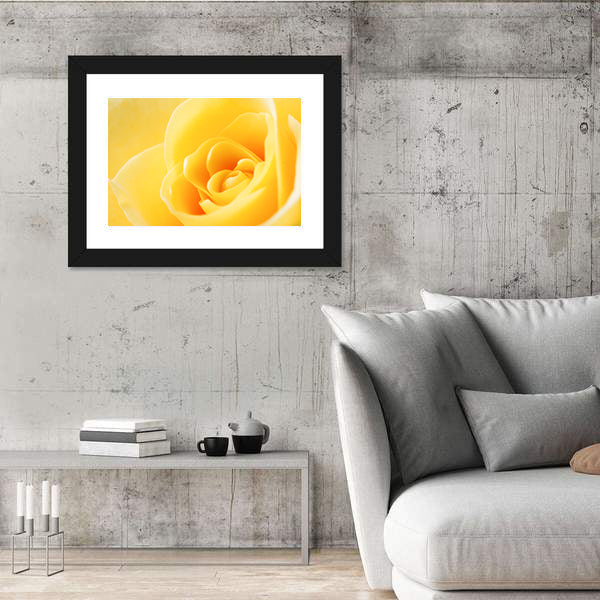 Yellow Rose Close-Up Canvas Wall Art