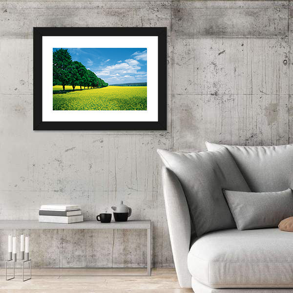 Spring Fields And Allee In Summer Canvas Wall Art