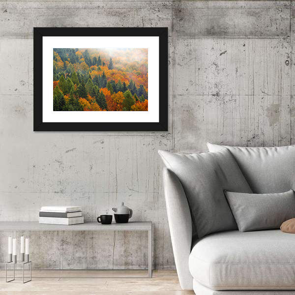 Foggy Autumn Forest In Romania Canvas Wall Art