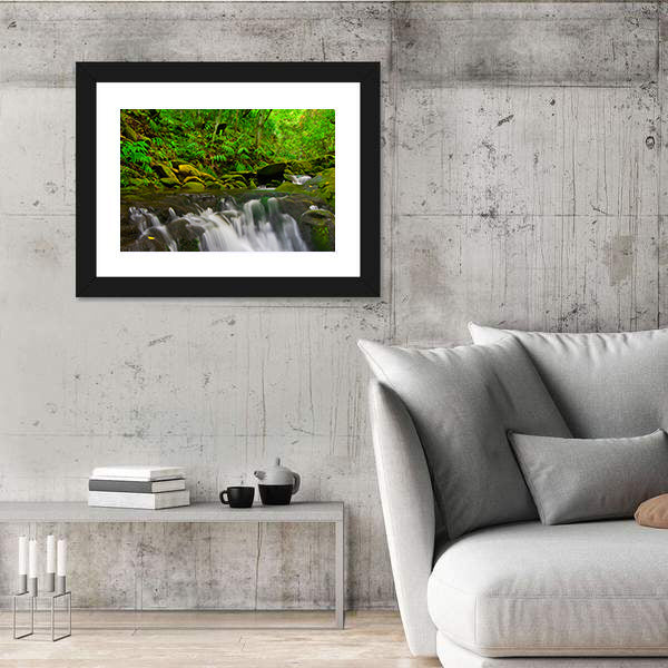 Stream Flowing Through Lush Jungle In Maui Hawaii Canvas Wall Art