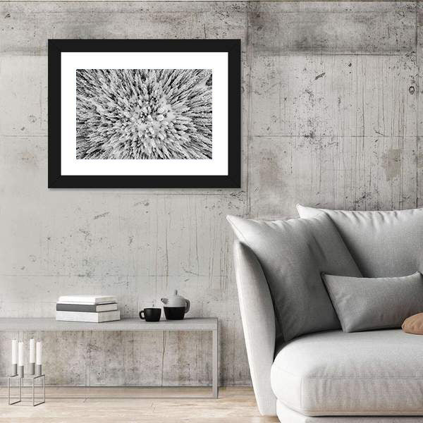 Snow Covered Evergreen Forests In The Colorado Rocky Mountains Canvas Wall Art