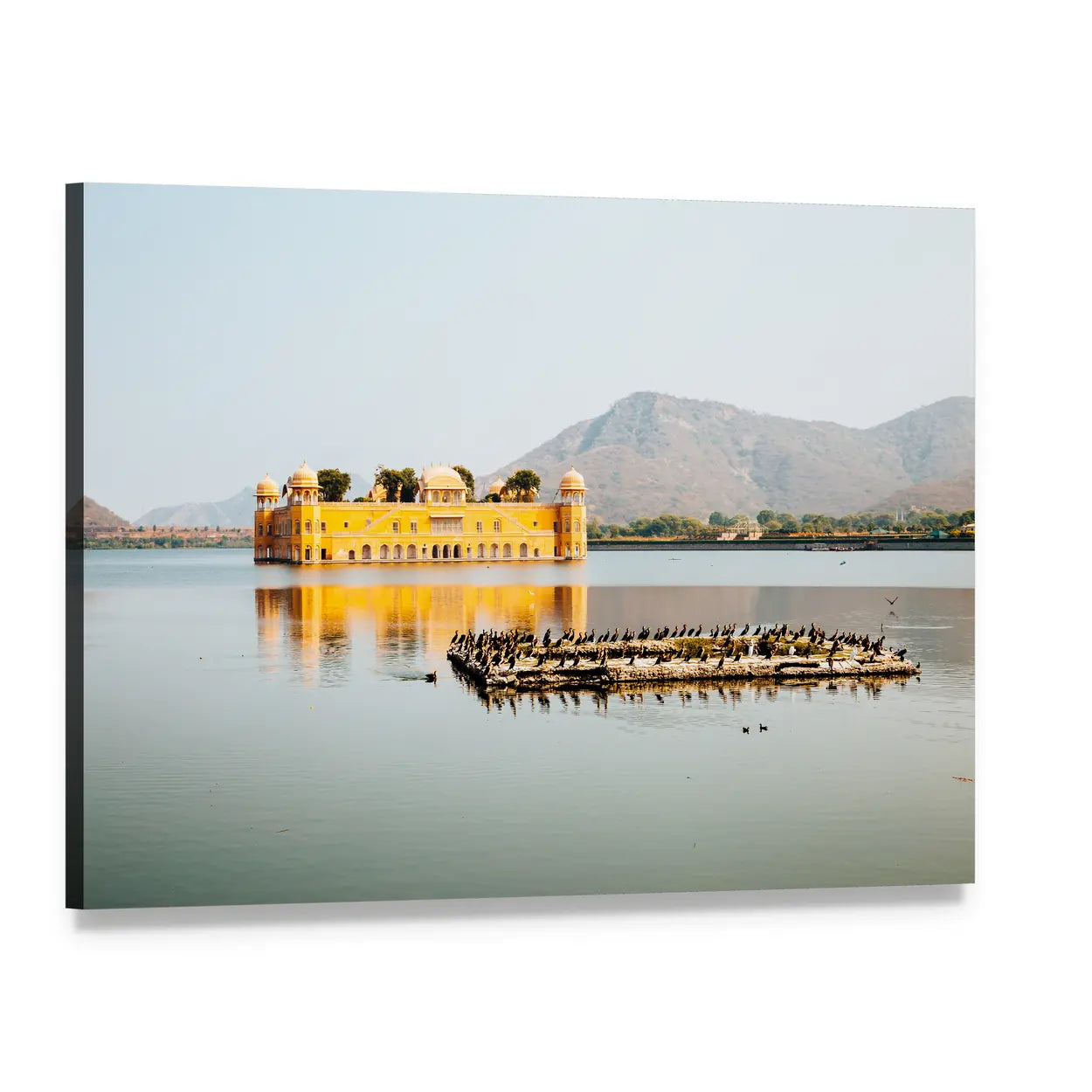 Jal Mahal in Jaipur Canvas Wall Art, single panel gallery wrapped canvas, angled product view