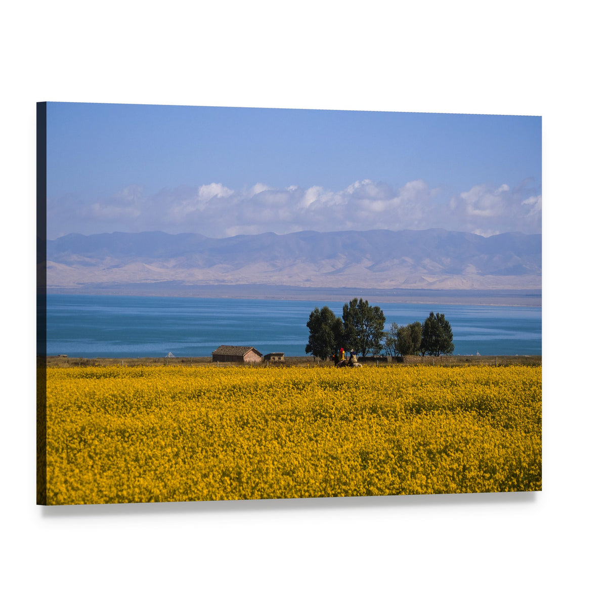 Qinghai Flower Fields and Mountain Lake Canvas Wall Art, single panel gallery wrapped canvas, angled product view