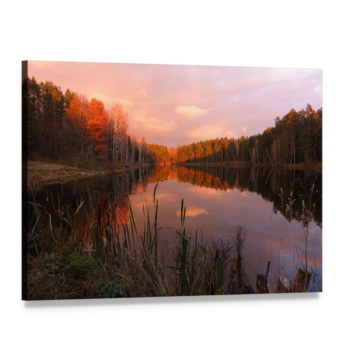 Forest Lake at Sunrise Canvas Wall Art, single panel gallery wrapped canvas, angled product view