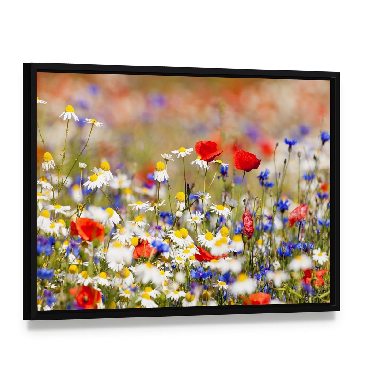 Wild Flowers on the Meadow at Spring Time Canvas Wall Art, framed canvas in a black floater frame, angled product view