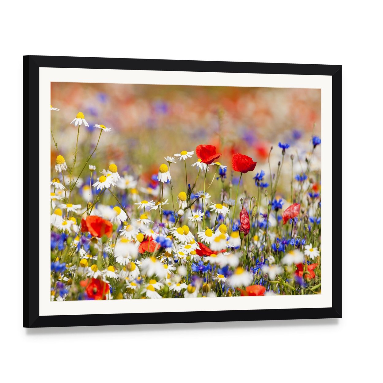 Wild Flowers on the Meadow at Spring Time Canvas Wall Art, framed print with white mat and black frame, angled product view