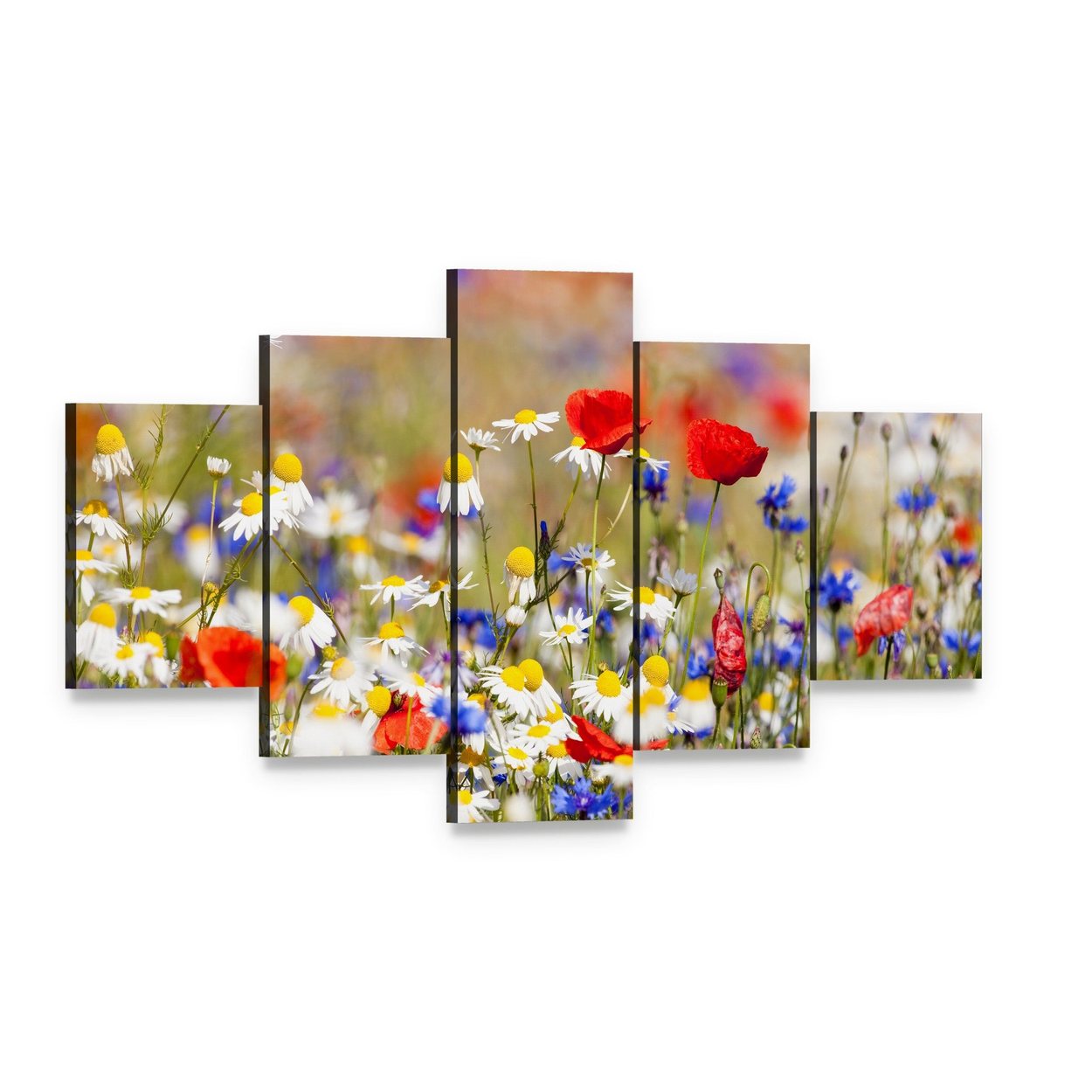 Wild Flowers on the Meadow at Spring Time Canvas Wall Art, 5 panel 5 Star layout gallery wrapped canvas set, angled product view