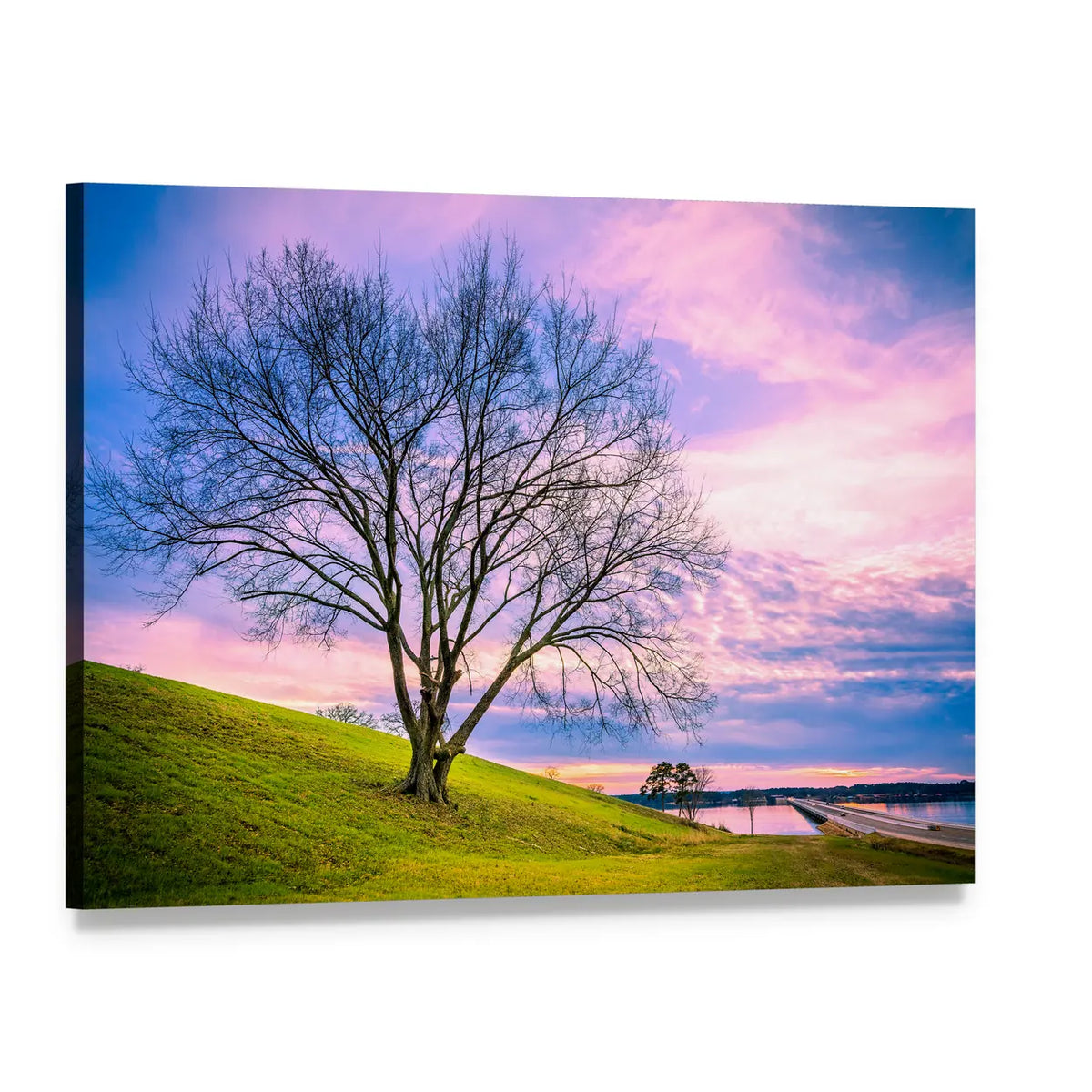 Leafless Tree at Sunset Canvas Wall Art, single panel gallery wrapped canvas, angled product view