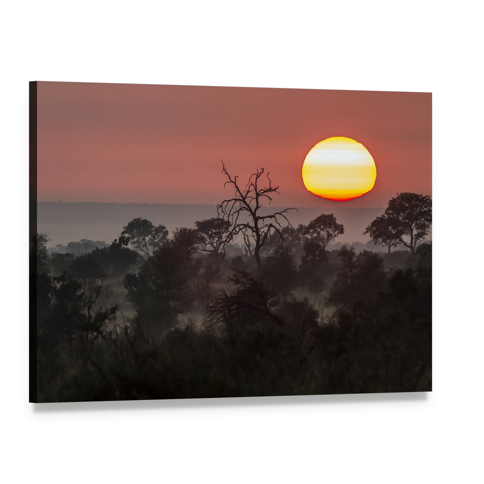 Kruger National Park Sunset Canvas Wall Art, single panel gallery wrapped canvas, angled product view
