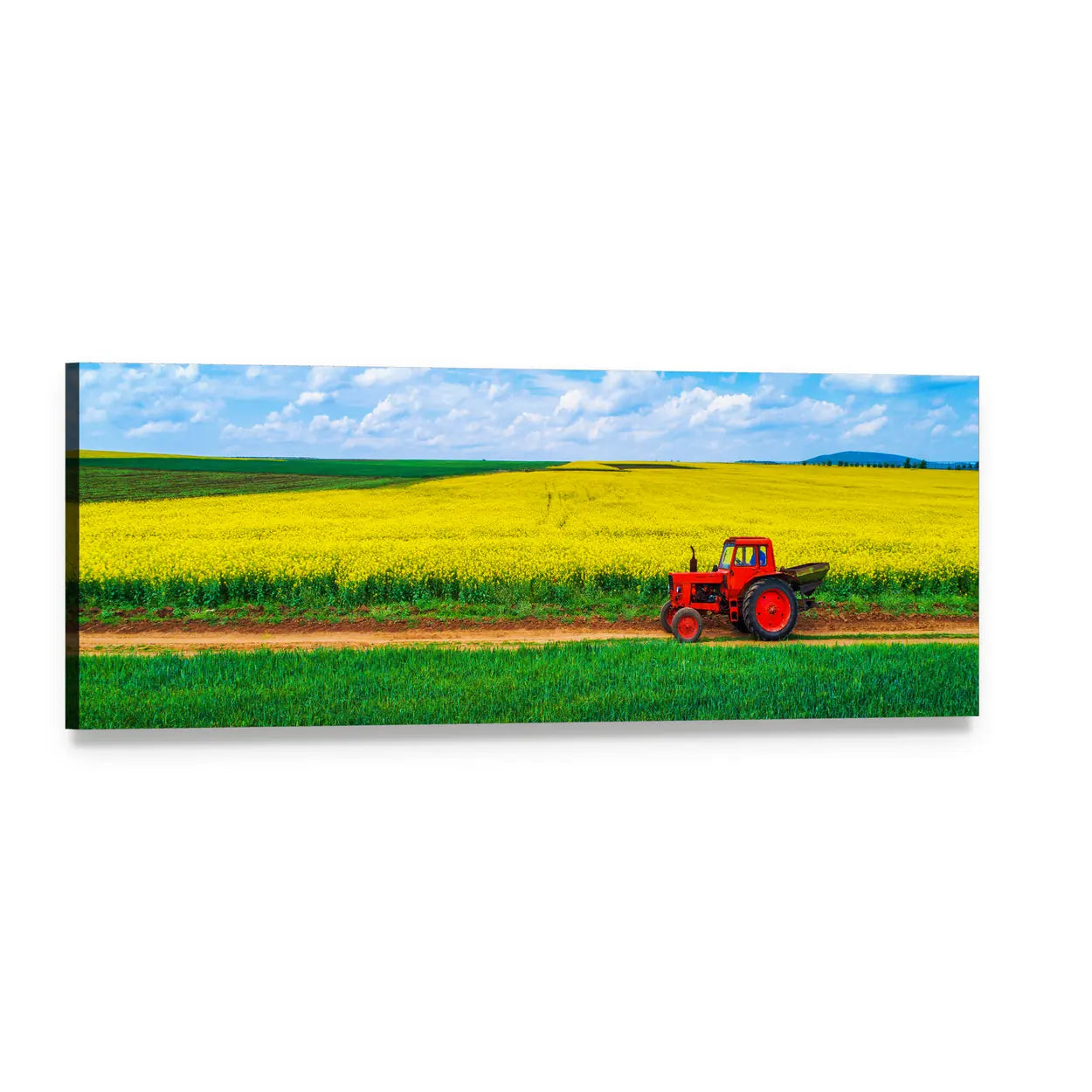 Vintage Red Tractor in Yellow Flower Field Panoramic Canvas Wall Art, single panel gallery wrapped canvas, angled product view