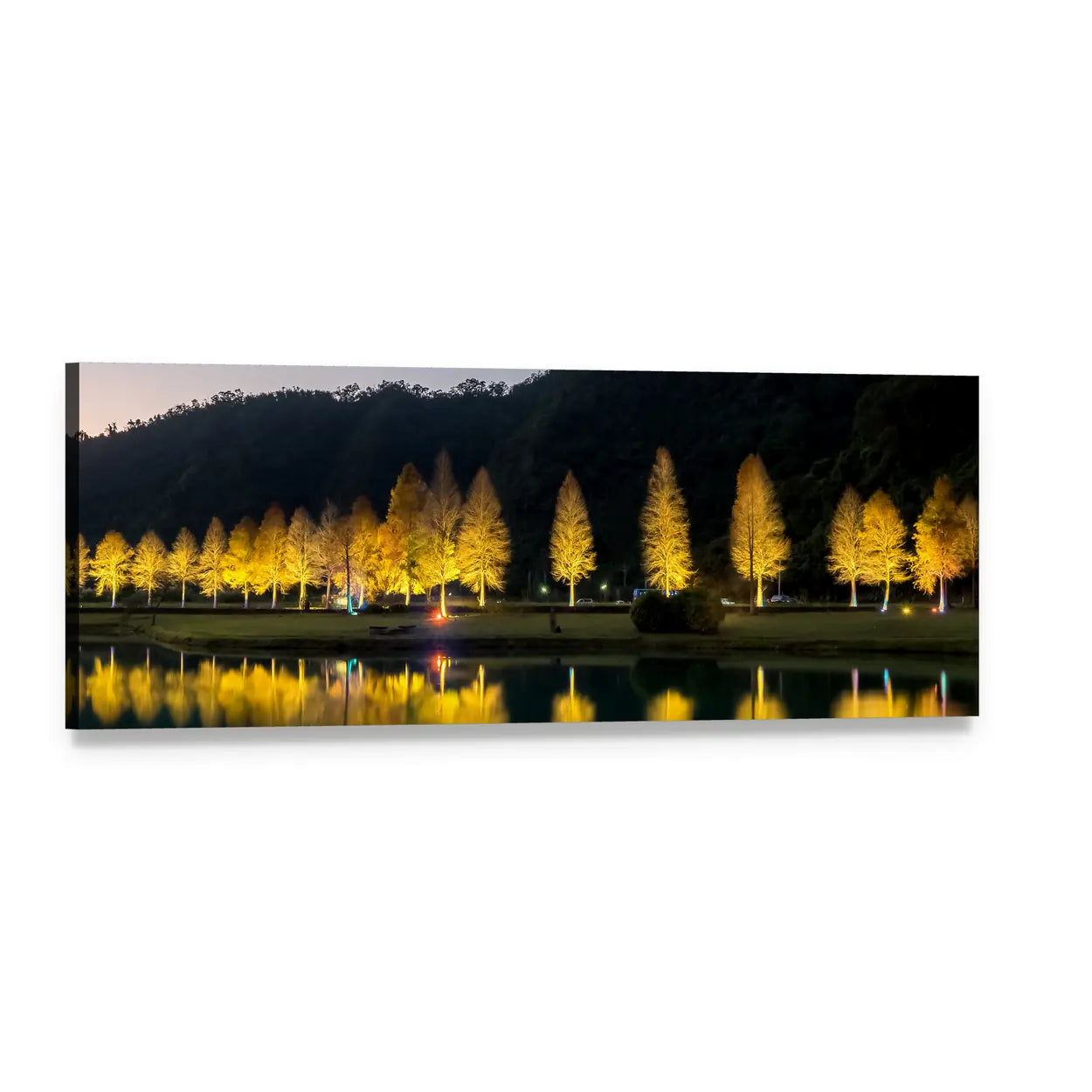 Bald Cypress Trees at Night Panoramic Canvas Wall Art, single panel gallery wrapped canvas, angled product view