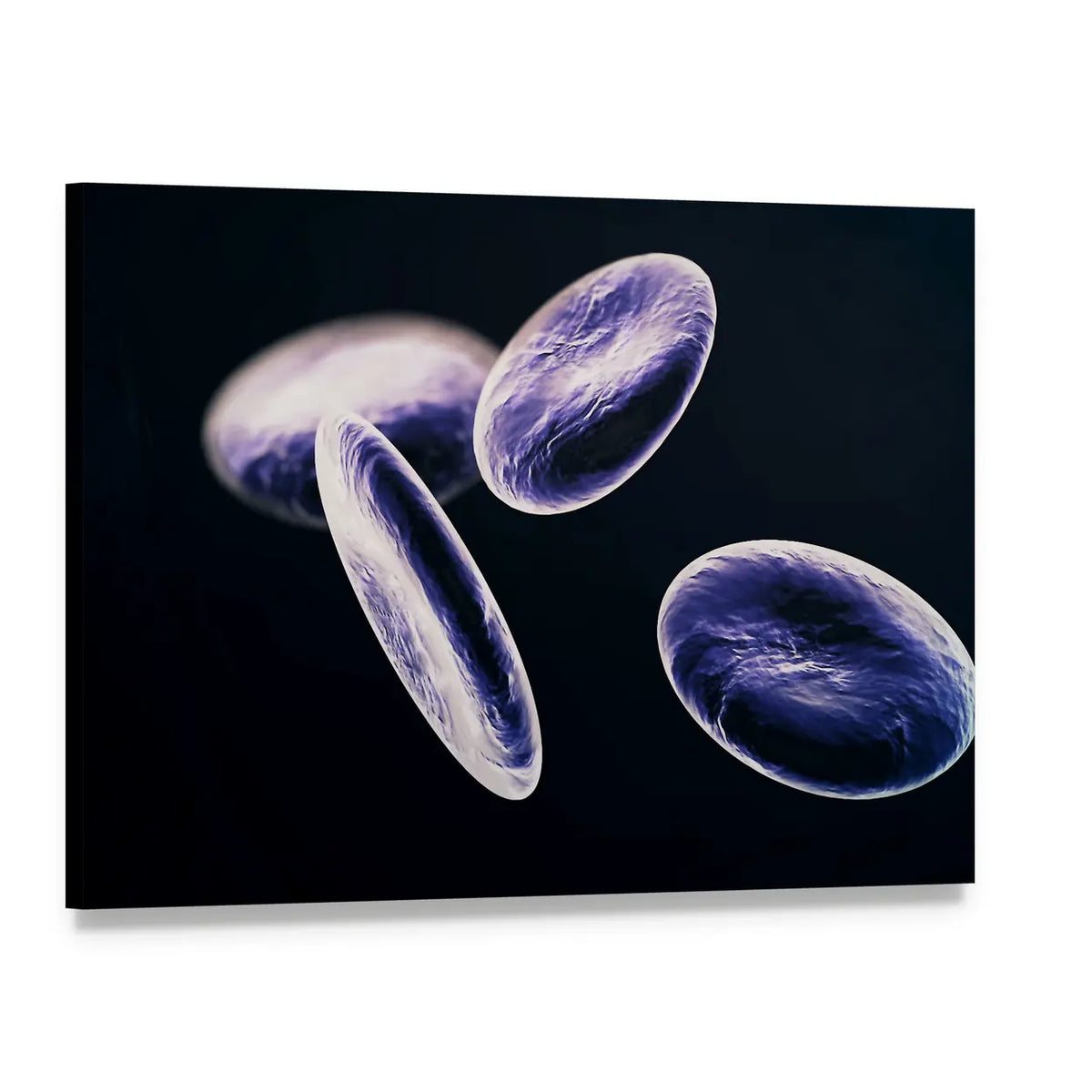 Microscopic Red Blood Cells Canvas Wall Art, single panel gallery wrapped canvas, angled product view