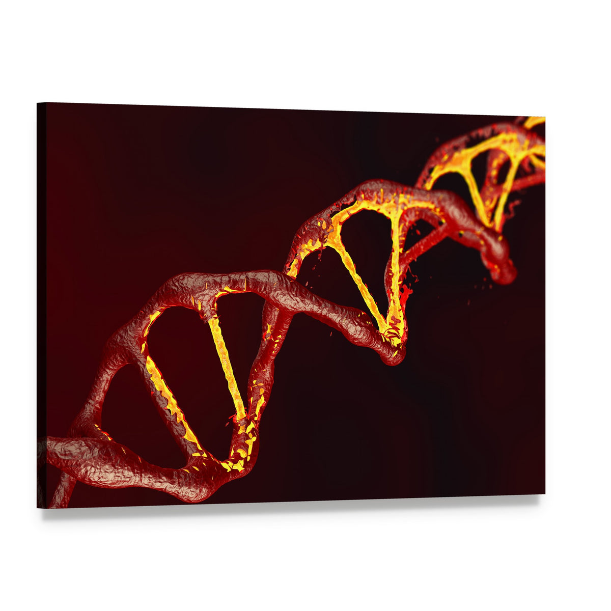 Dna Double Helix Close-up Canvas Wall Art, single panel gallery wrapped canvas, angled product view