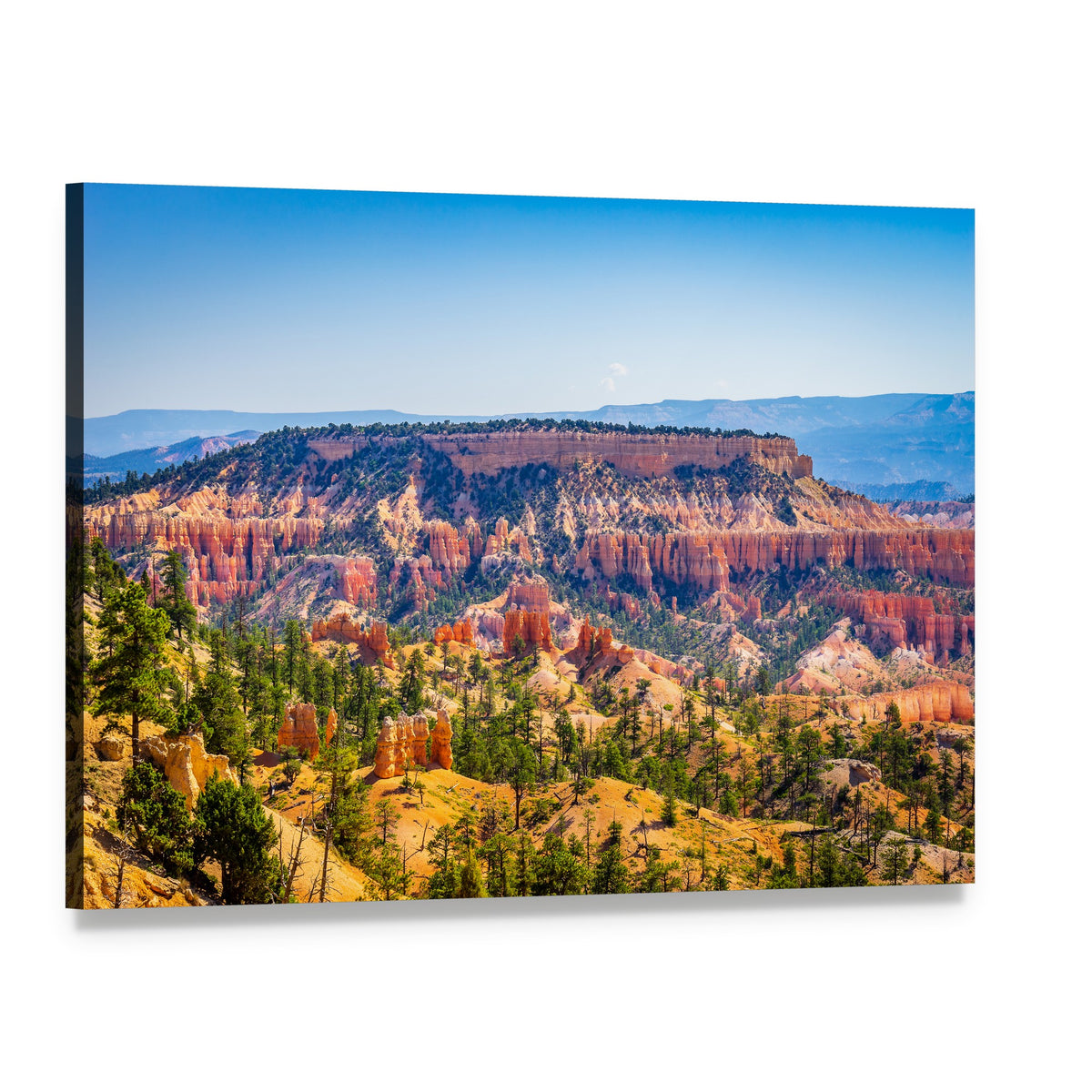 Bryce Canyon Hoodoos Canvas Wall Art, single panel gallery wrapped canvas, angled product view