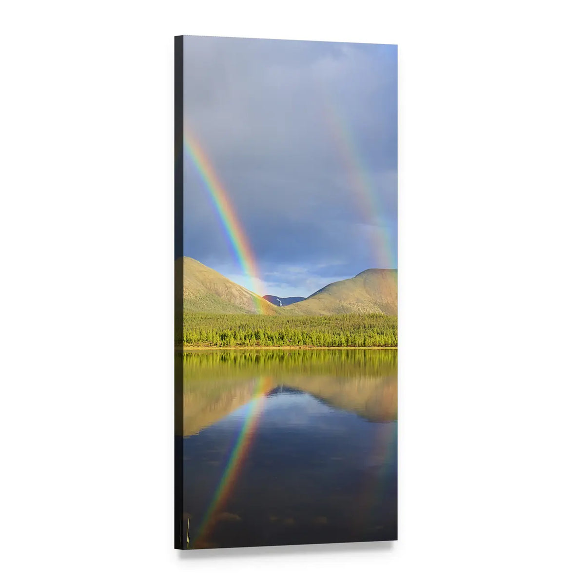 Double Rainbow Over Lake with Forest Reflection Vertical Canvas Wall Art, 1 panel 1 Vertical layout gallery wrapped canvas set, angled product view