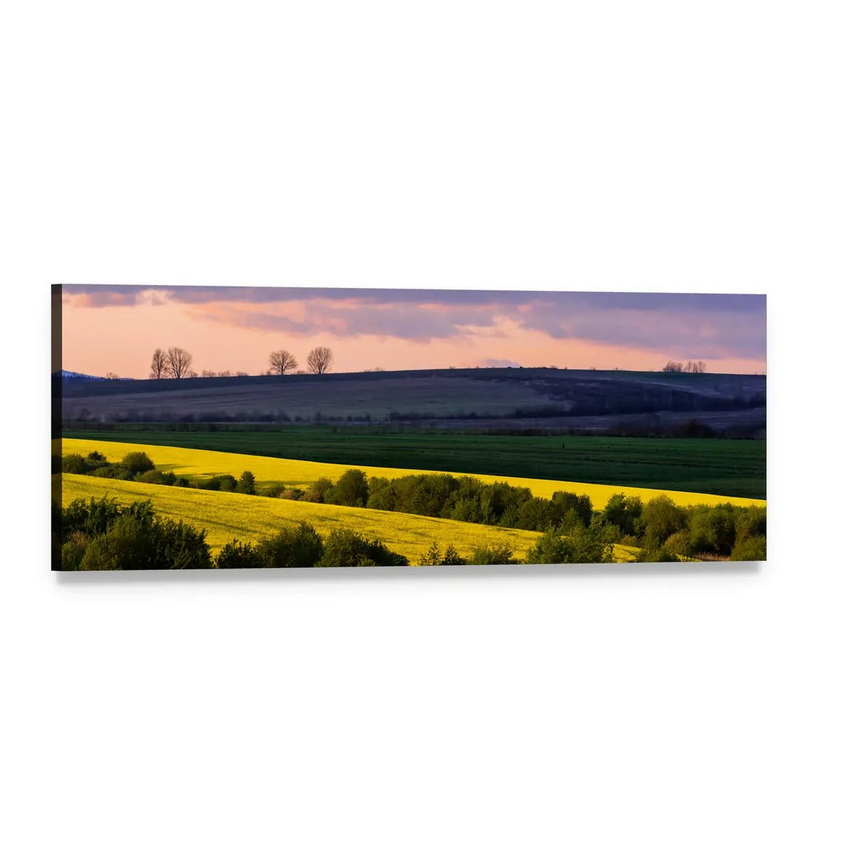 Yellow Rape Fields at Sunset Panoramic Canvas Wall Art, single panel gallery wrapped canvas, angled product view