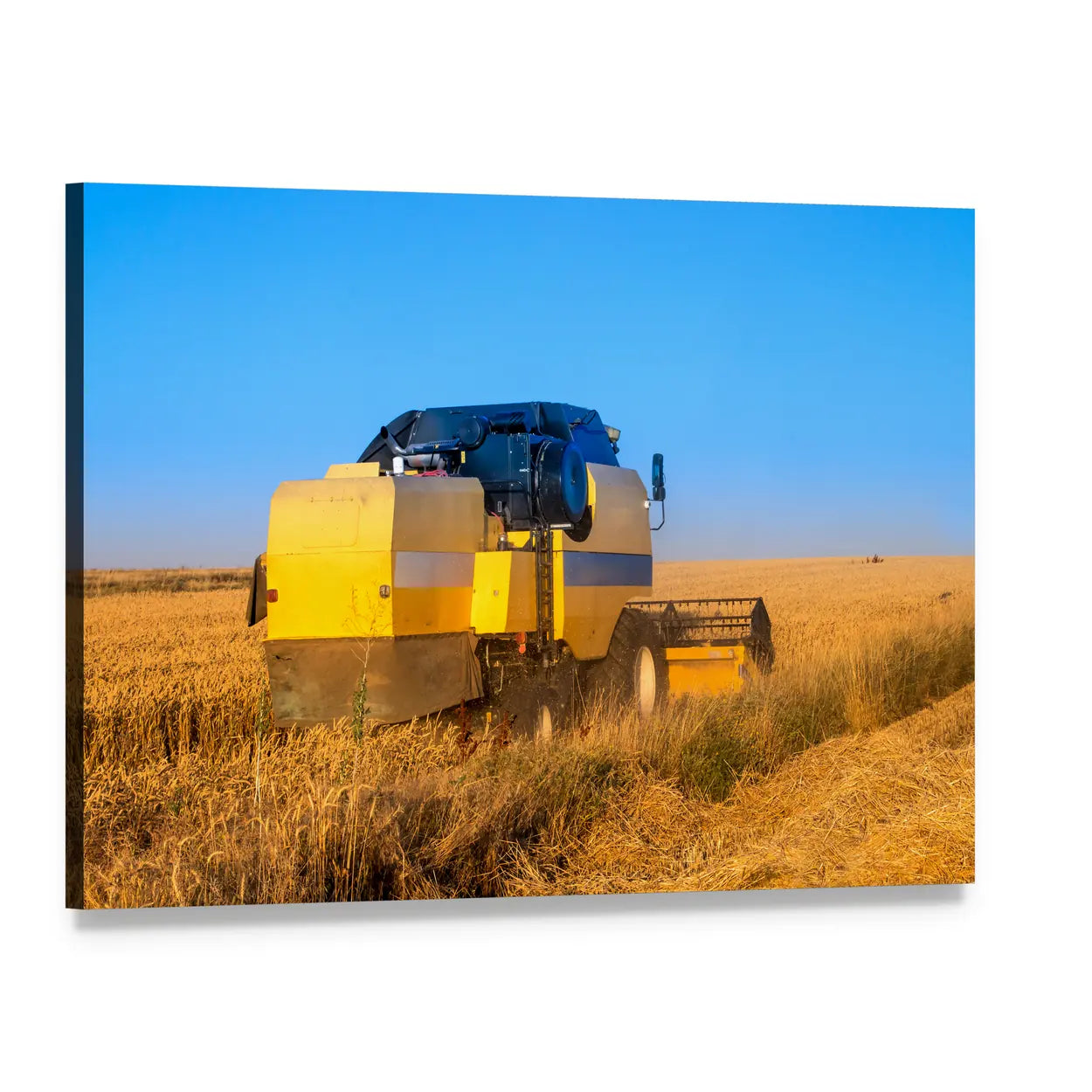 Combine Harvester in Wheat Field Canvas Wall Art, single panel gallery wrapped canvas, angled product view