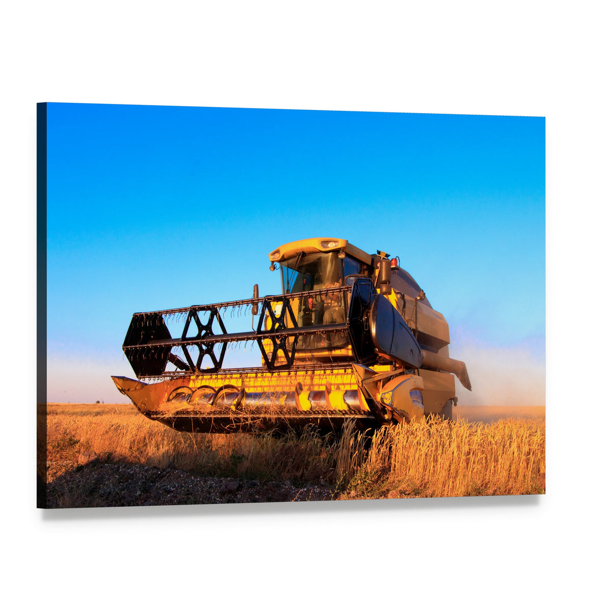 Combine Harvester in Wheat Field Canvas Wall Art, single panel gallery wrapped canvas, angled product view