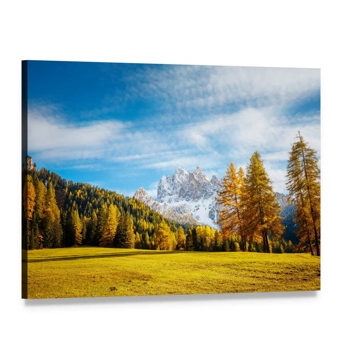 Golden Larches and Snow-capped Peaks Canvas Wall Art, single panel gallery wrapped canvas, angled product view