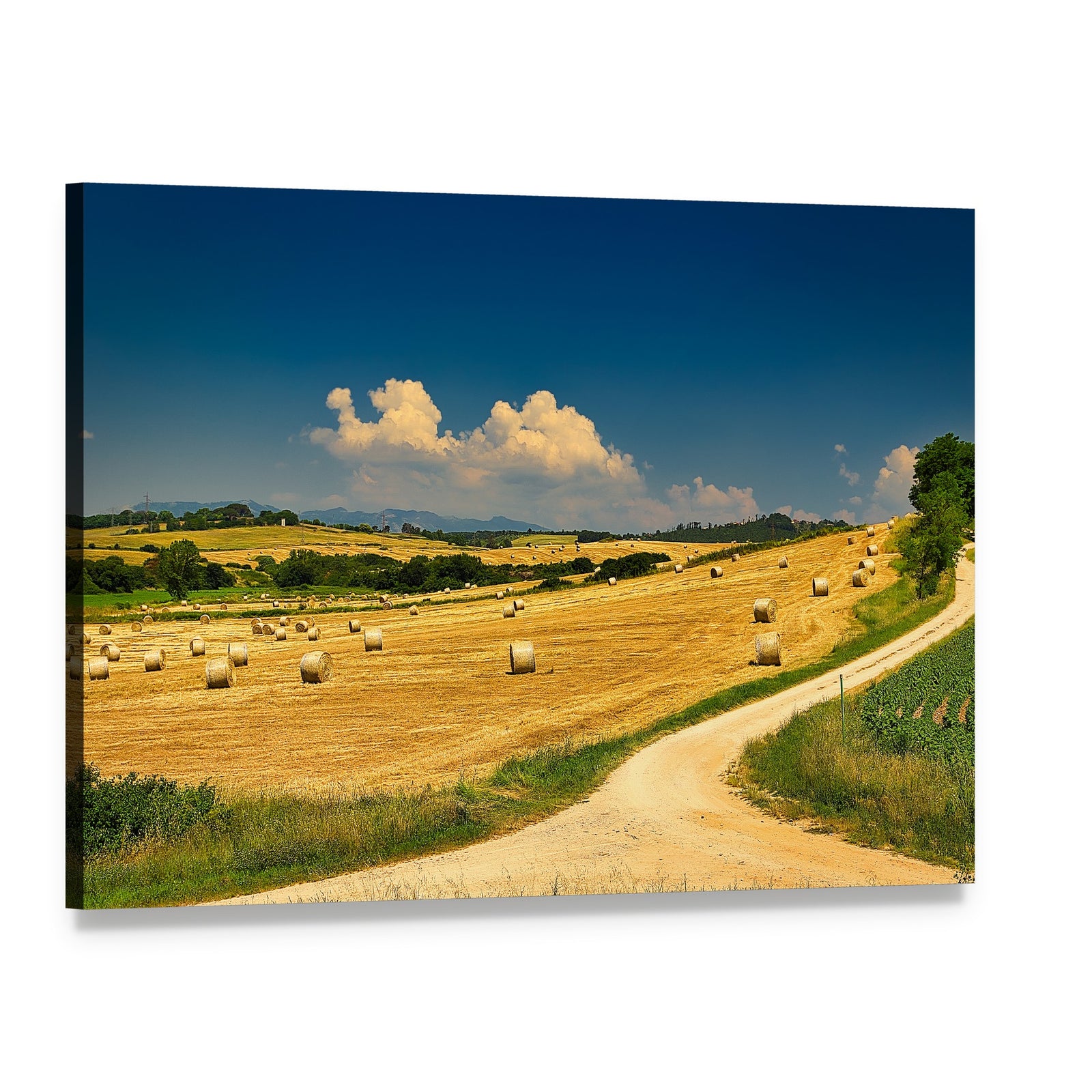 Hay Bales on Harvested Field Canvas Wall Art, single panel gallery wrapped canvas, angled product view