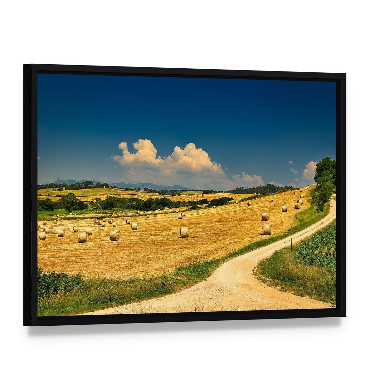 Hay Bales on Harvested Field Canvas Wall Art, framed canvas in a black floater frame, angled product view