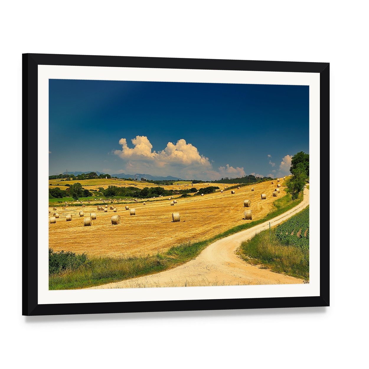 Hay Bales on Harvested Field Canvas Wall Art, framed print with white mat and black frame, angled product view