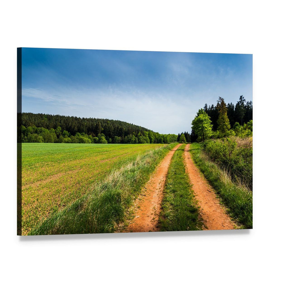 Two-track Dirt Road in Summer Field Canvas Wall Art, single panel gallery wrapped canvas, angled product view