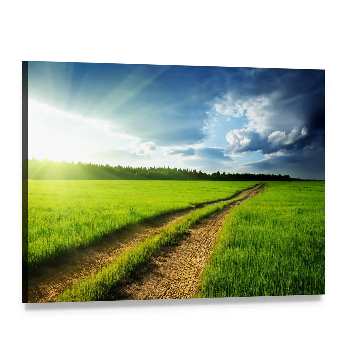 Sunlit Dirt Road Through Green Field Canvas Wall Art, single panel gallery wrapped canvas, angled product view