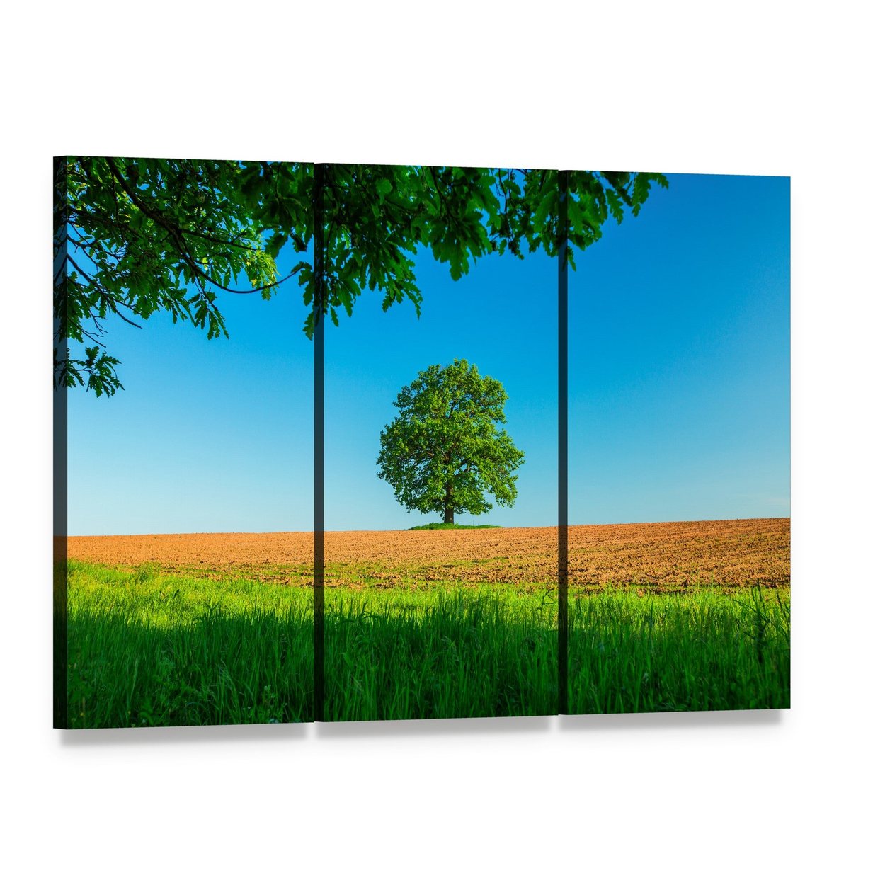 Tree in Field Under Blue Sky Canvas Wall Art, 3 panel 3 Horizontal layout gallery wrapped canvas set, angled product view