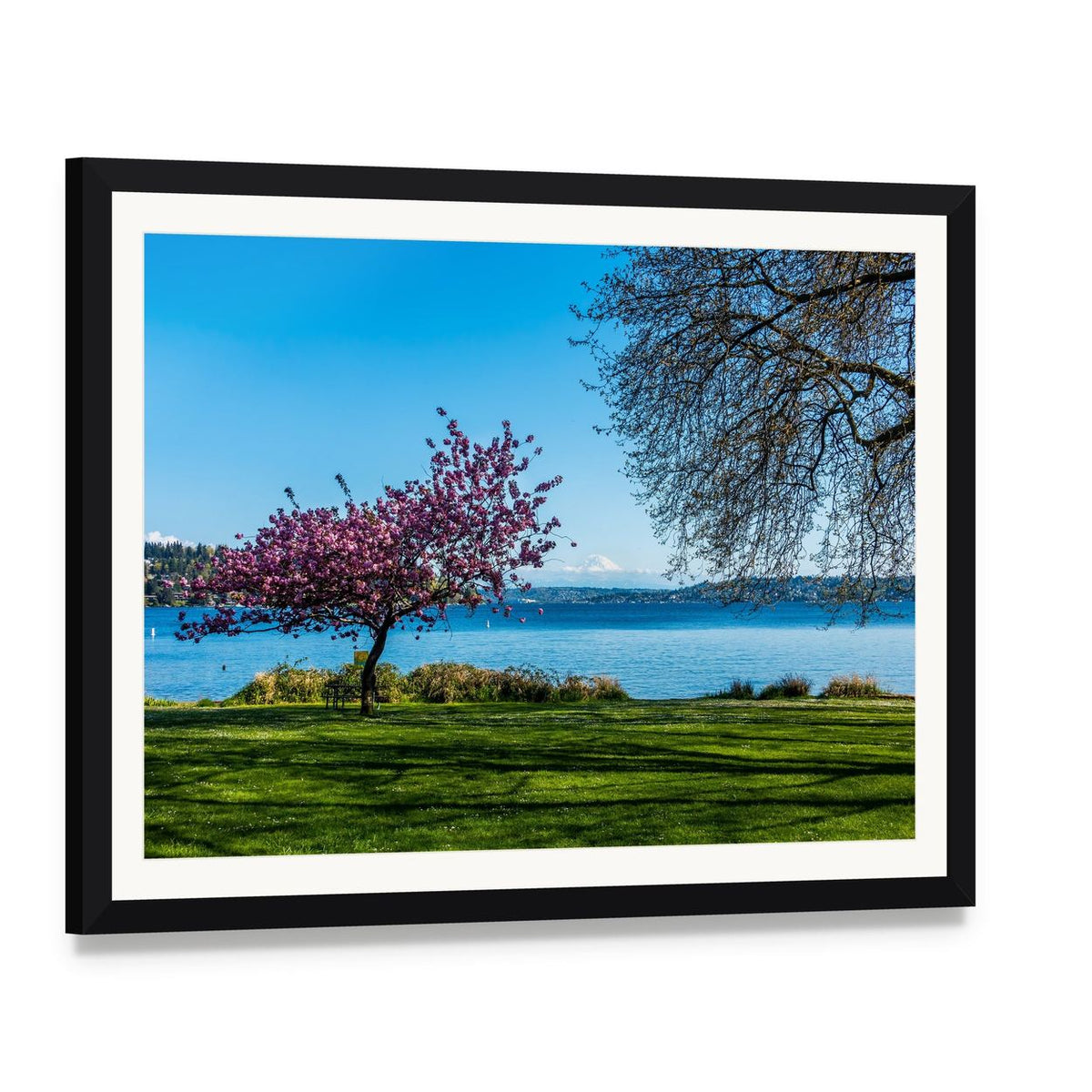 Cherry Tree Beside Lake with Snowy Mountain Canvas Wall Art, framed print with white mat and black frame, angled product view