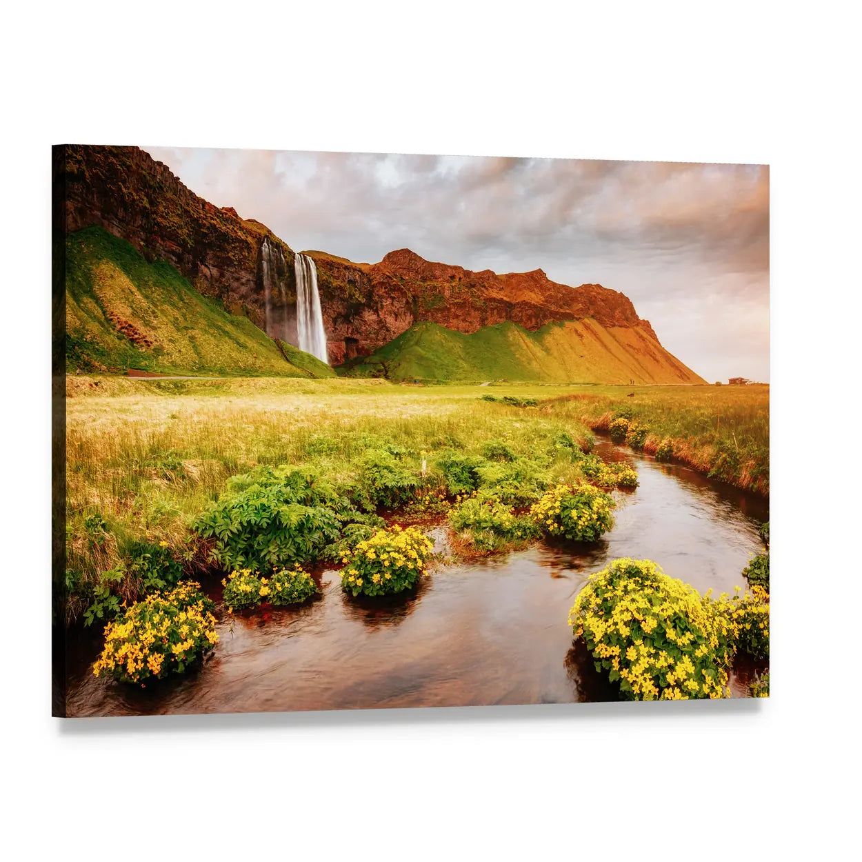 Blooming Green Field Canvas Wall Art, single panel gallery wrapped canvas, angled product view