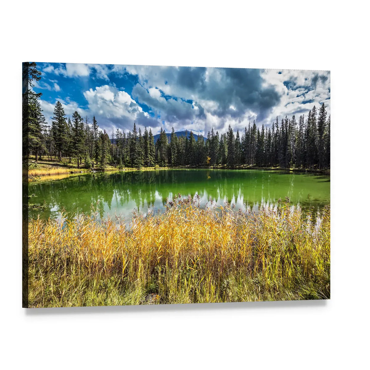 Autumn Lake in Jasper National Park Canvas Wall Art, single panel gallery wrapped canvas, angled product view