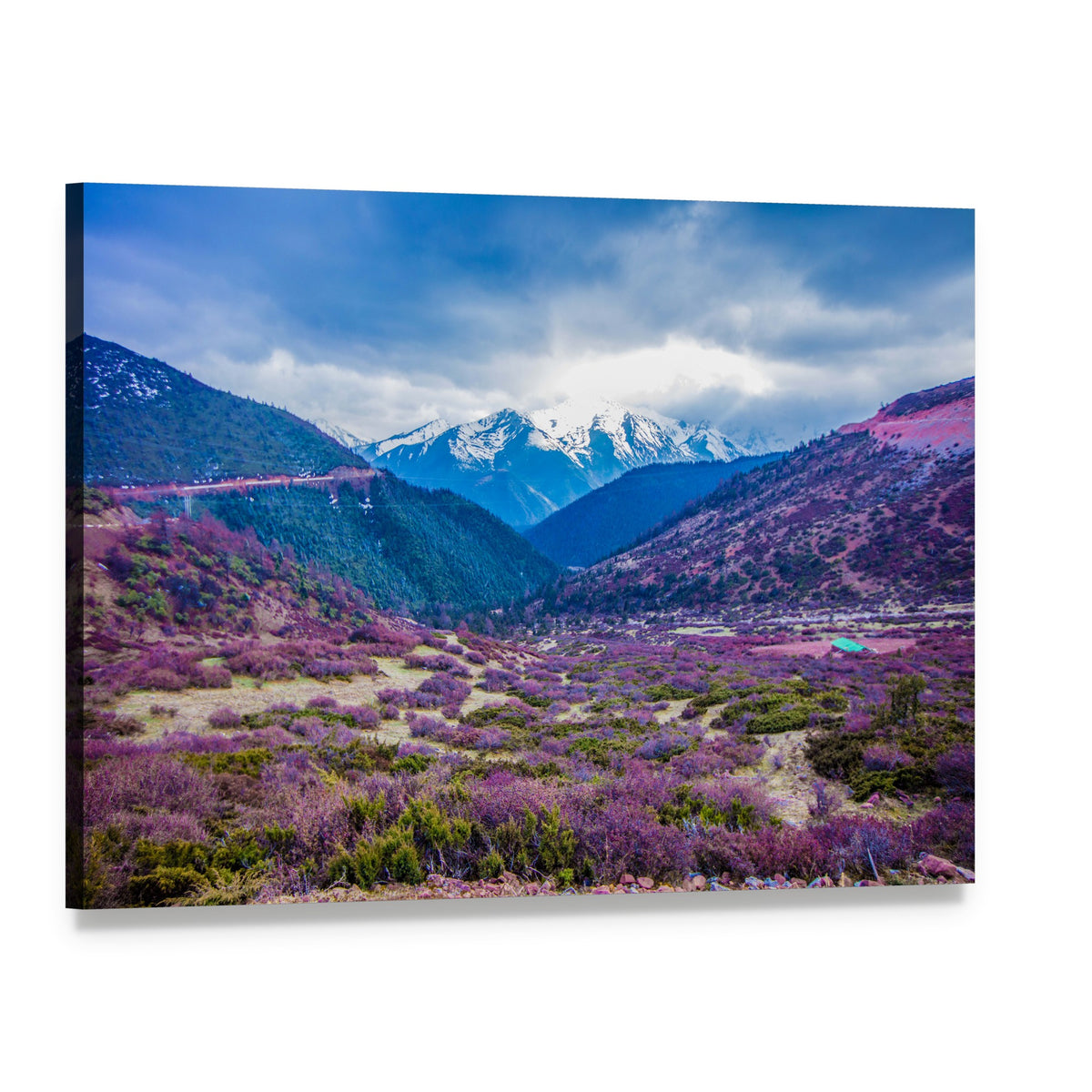 Baima Snow Mountain Canvas Wall Art, single panel gallery wrapped canvas, angled product view