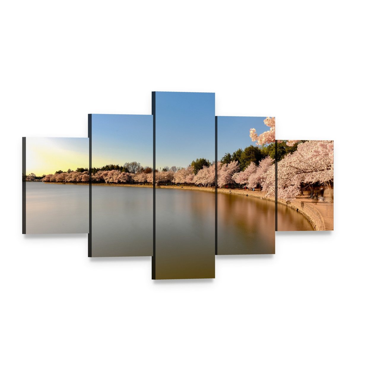 Cherry Blossoms at Tidal Basin Canvas Wall Art, 5 panel 5 Star layout gallery wrapped canvas set, angled product view