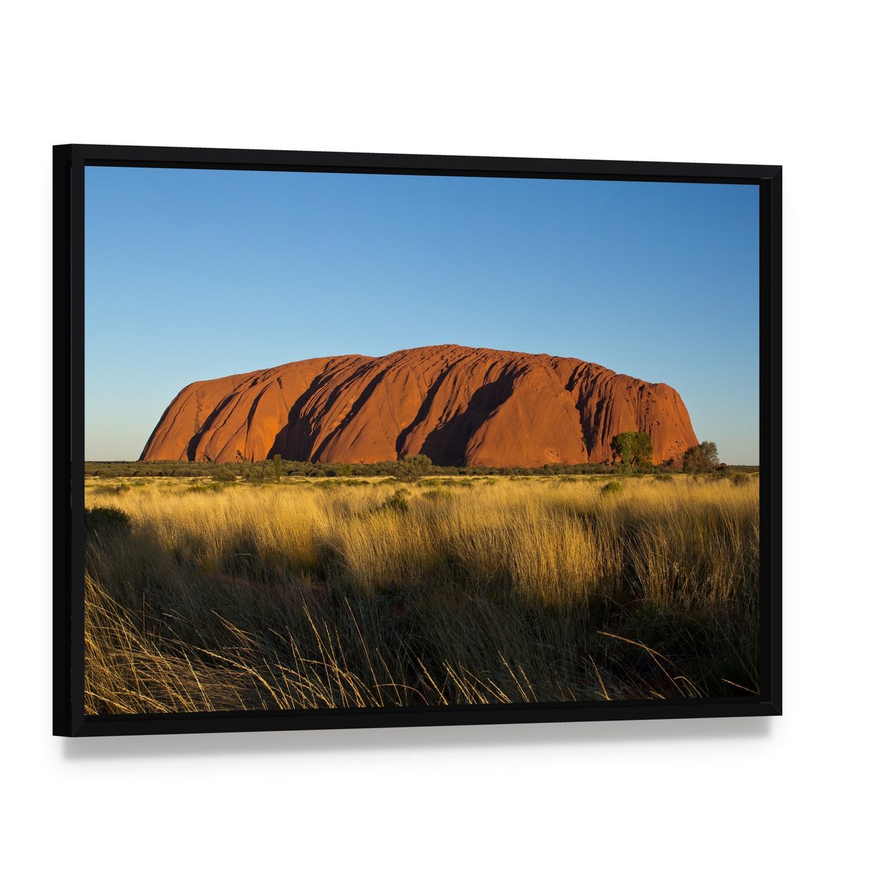 Ayers Rock in the Evening Canvas Wall Art, framed canvas in a black floater frame, angled product view