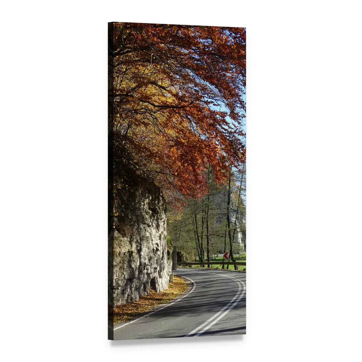 Autumn Road with Fallen Leaves and Stone Vertical Canvas Wall Art, 1 panel 1 Vertical layout gallery wrapped canvas set, angled product view