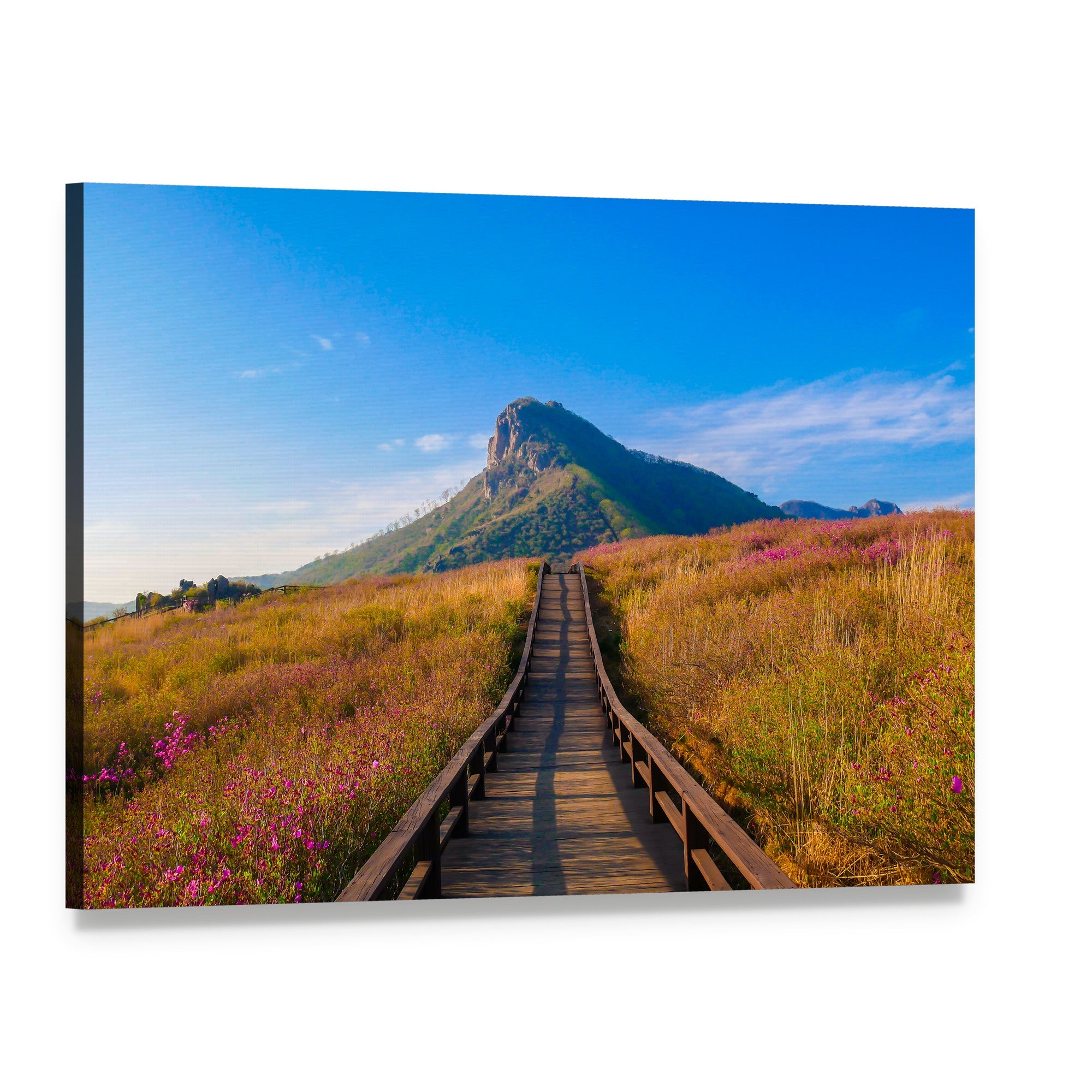 Hwangmaesan Mountain Boardwalk with Wildflowers Canvas Wall Art, single panel gallery wrapped canvas, angled product view