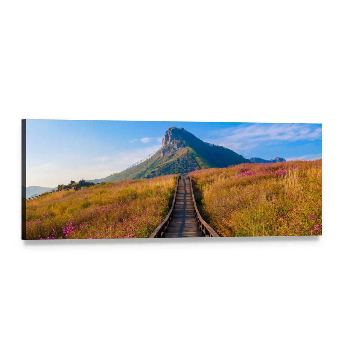 Hwangmaesan Mountain Boardwalk in Spring Panoramic Canvas Wall Art, single panel gallery wrapped canvas, angled product view