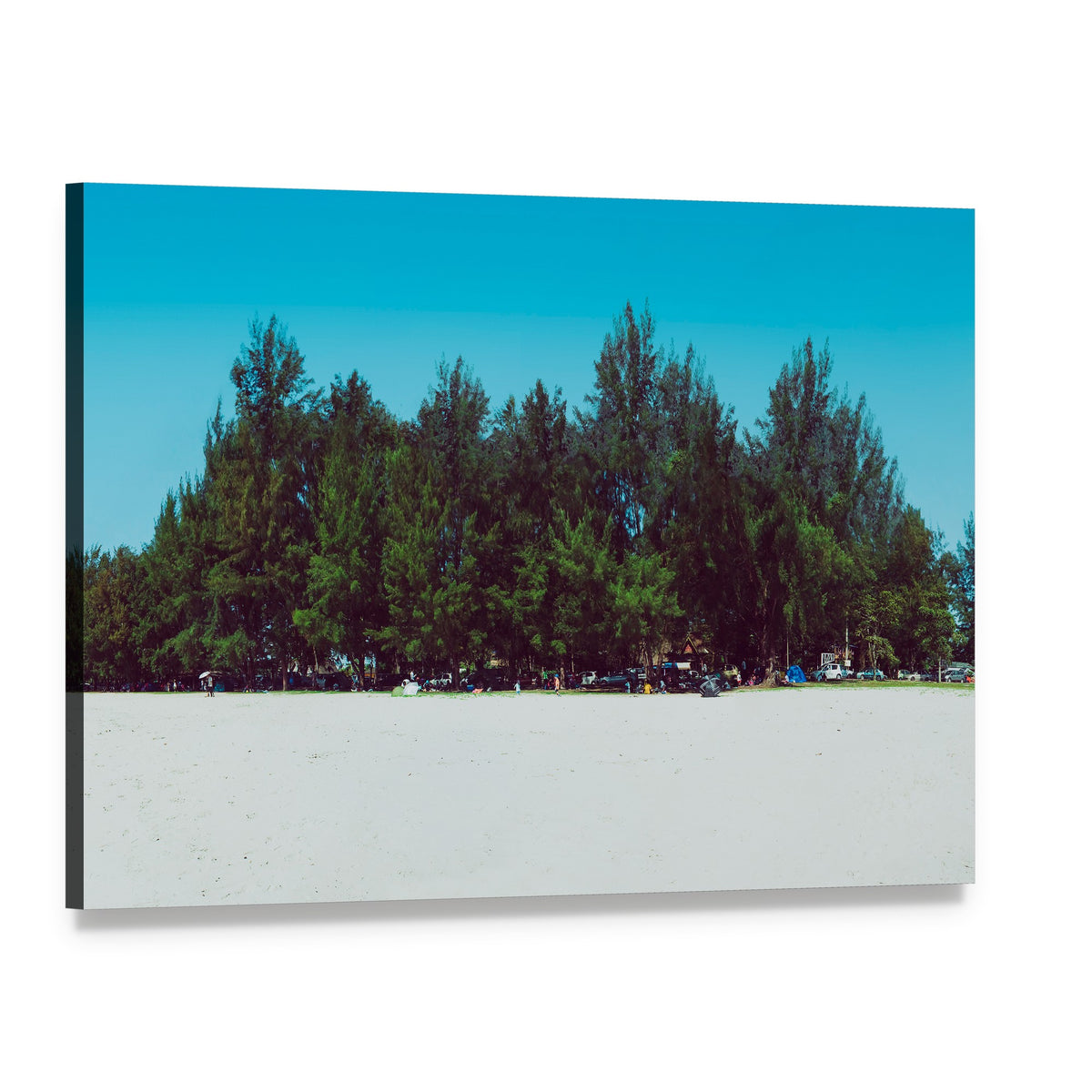 Sand Dunes with Pine Trees at the Beach Canvas Wall Art, single panel gallery wrapped canvas, angled product view