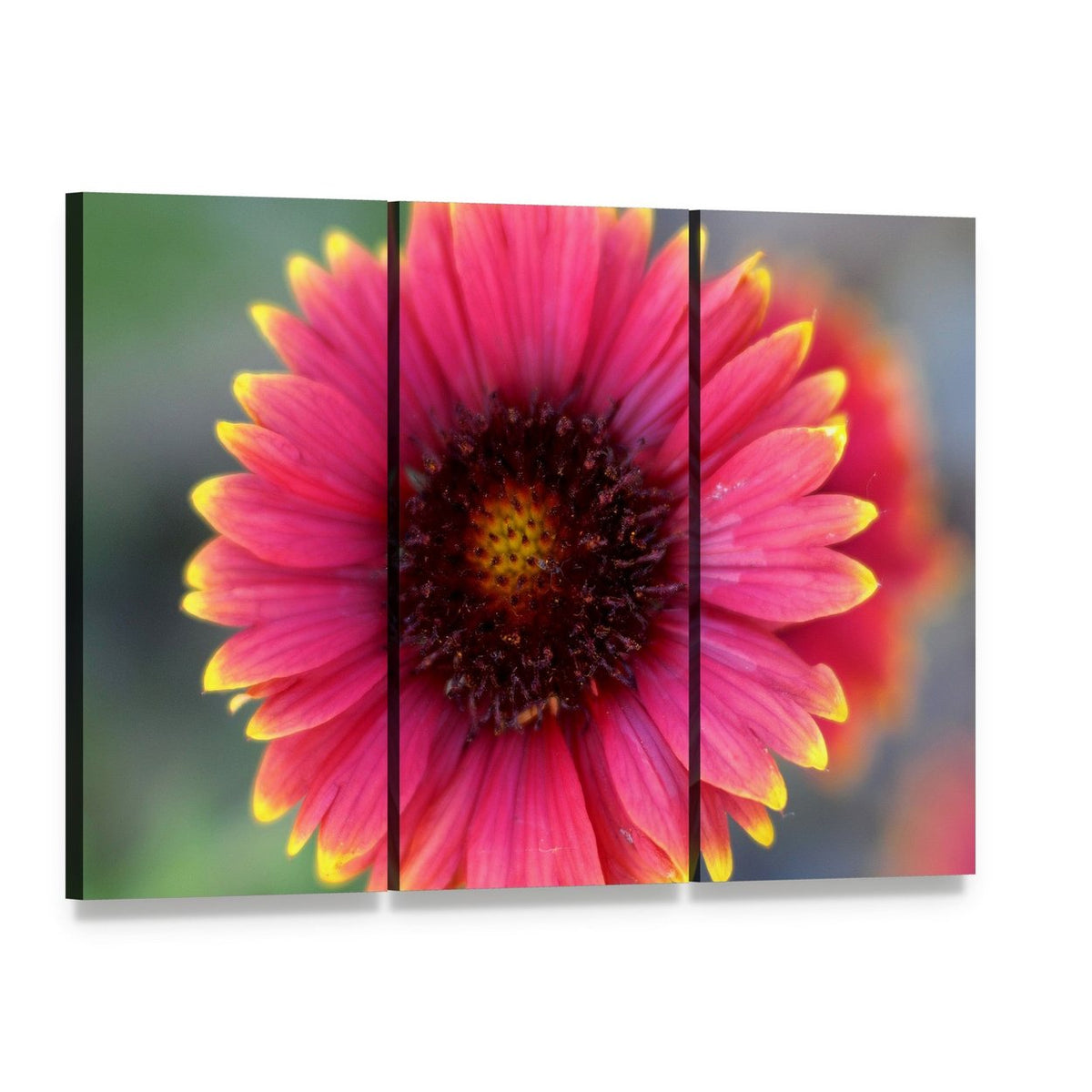 Ripe Red Flower Close-up Canvas Wall Art, 3 panel 3 Horizontal layout gallery wrapped canvas set, angled product view