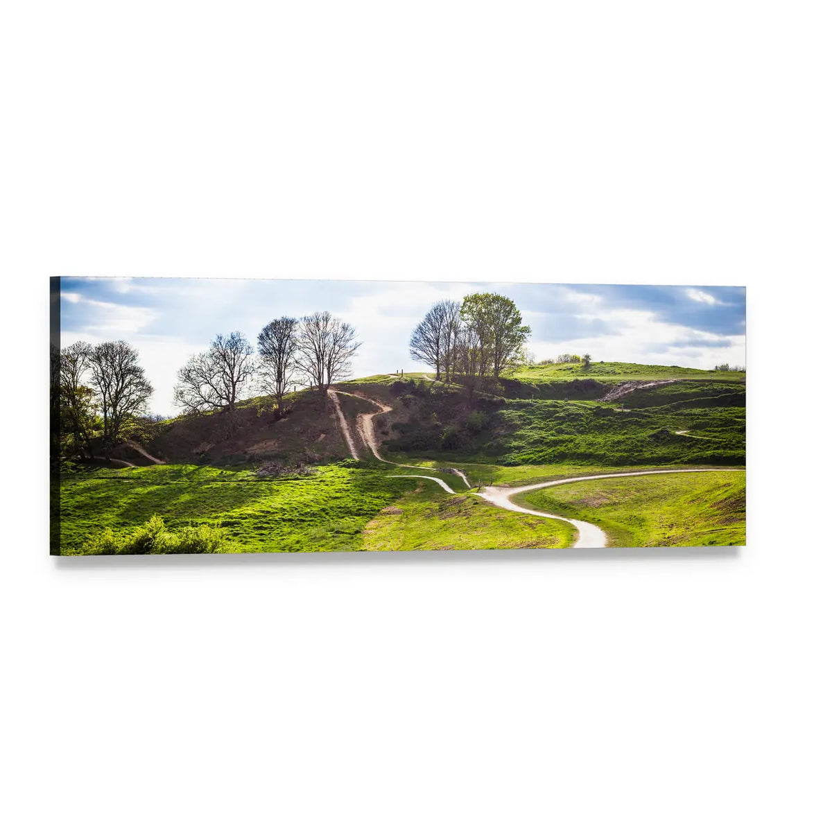 Rolling Hills and Winding Path Panoramic Canvas Wall Art, single panel gallery wrapped canvas, angled product view