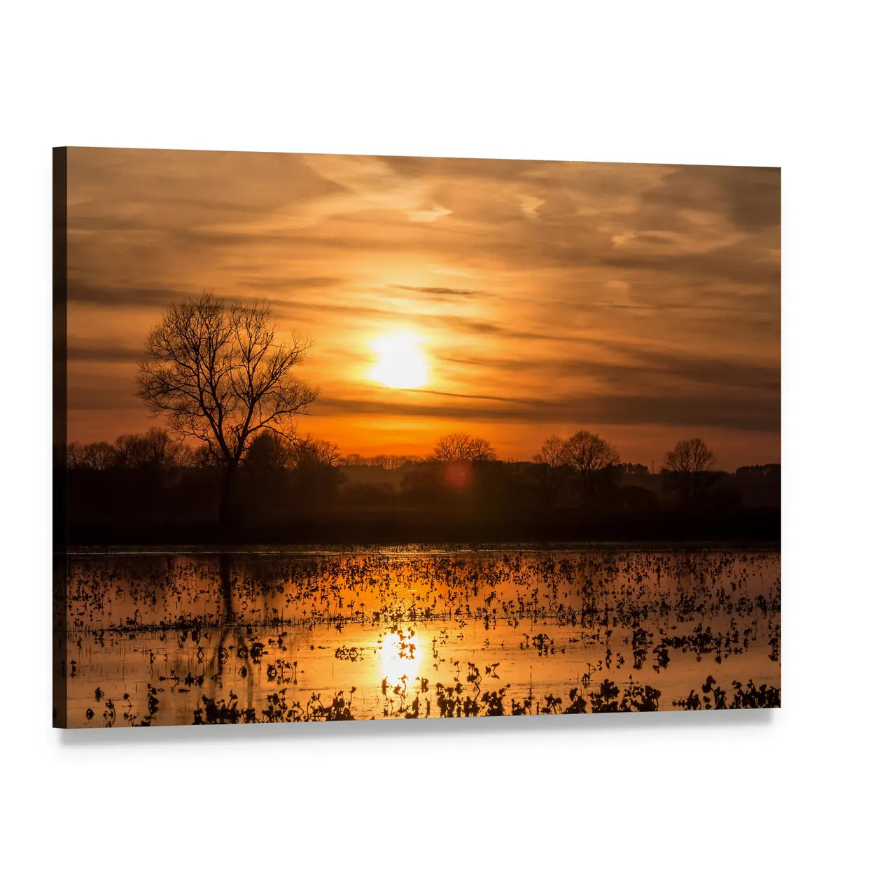 Sunset Lake with Tree Silhouette Canvas Wall Art, single panel gallery wrapped canvas, angled product view
