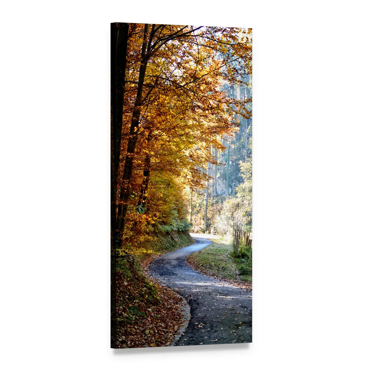 Autumn Forest Road with Fallen Leaves Vertical Canvas Wall Art, 1 panel 1 Vertical layout gallery wrapped canvas set, angled product view