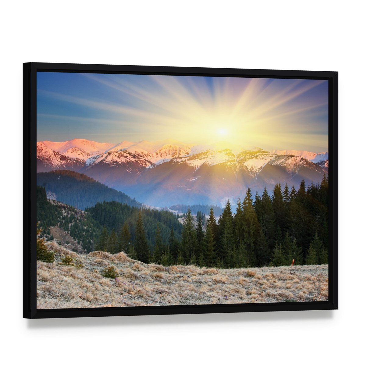 Snow-capped Mountain Sunrise with Pine Forest Canvas Wall Art, framed canvas in a black floater frame, angled product view